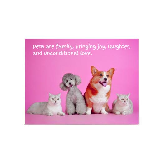 Personalised ceramic tile 200x150mm with custom photo - gloss white finish Australian printed Sample