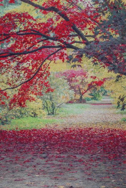 Aluminium Photo Prints